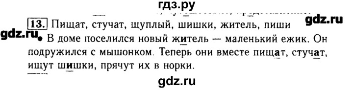 ГДЗ по русскому языку 3 класс  Бунеев   упражнение - 13, Решебник №3