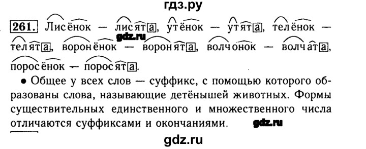 ГДЗ по русскому языку 3 класс  Бунеев   упражнение - 261, Решебник №3