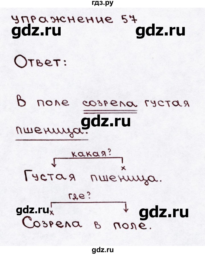 ГДЗ по русскому языку 3 класс  Канакина   часть 1 / упражнение - 57, Решебник 2015 №3