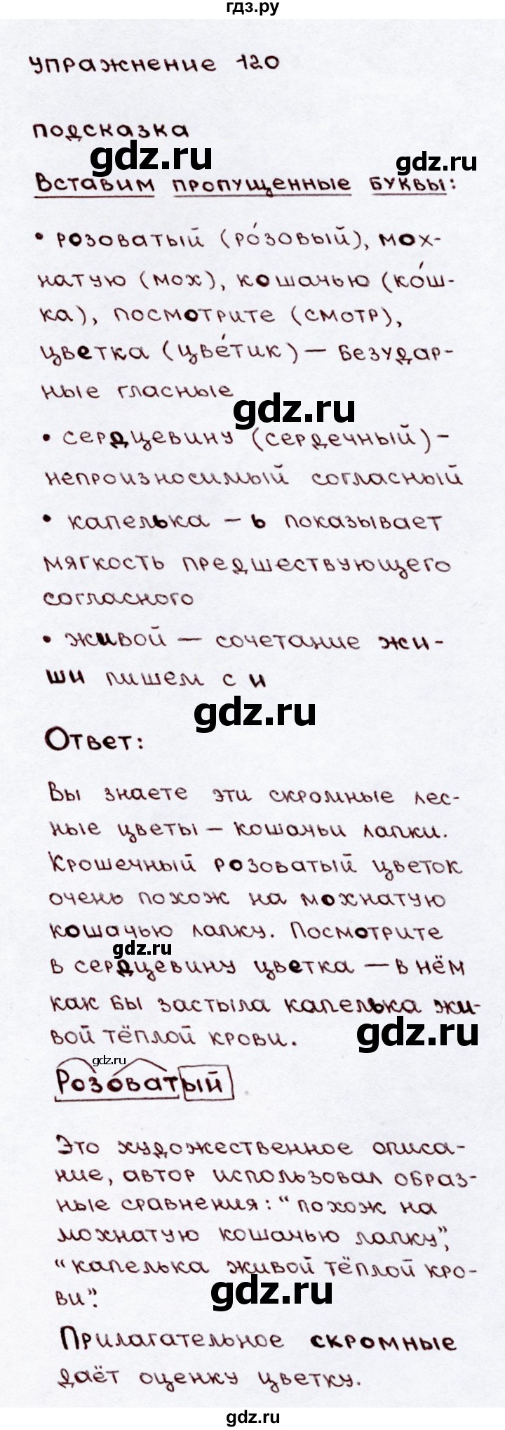 ГДЗ по русскому языку 3 класс  Канакина   часть 2 / упражнение - 120, Решебник 2015 №3