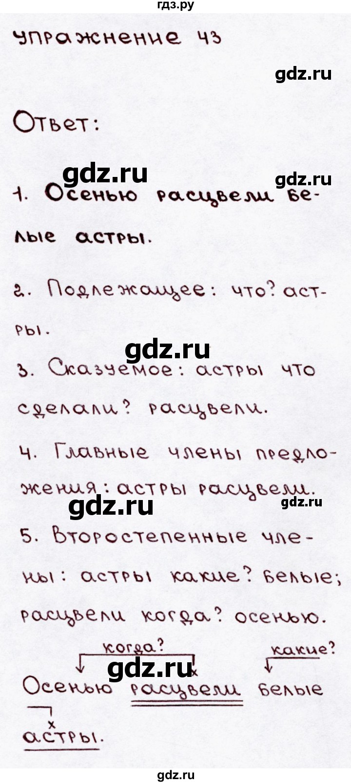 ГДЗ по русскому языку 3 класс Канакина, Горецкий часть 1 - ответ на номер 43, Решебник 2015 №3