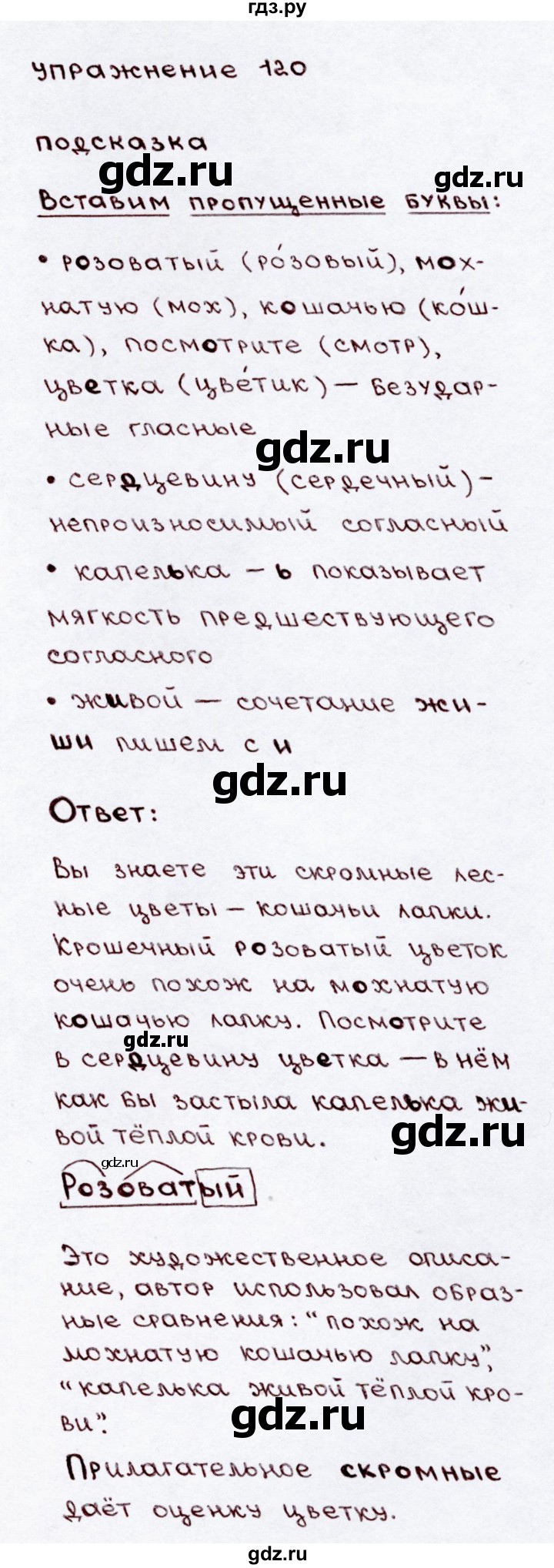 ГДЗ по русскому языку 3 класс Канакина, Горецкий часть 2 - ответ на номер 120, Решебник 2015 №3