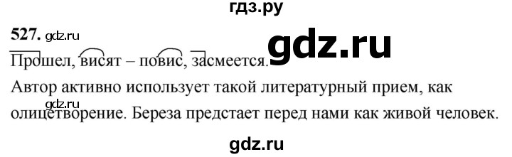 ГДЗ по русскому языку 4 класс  Рамзаева   упражнение - 527, Решебник №1