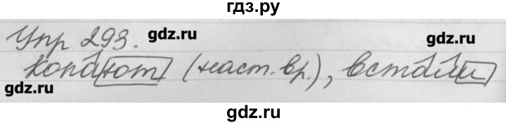 ГДЗ по русскому языку 4 класс  Бунеев   упражнение - 293, Решебник №1