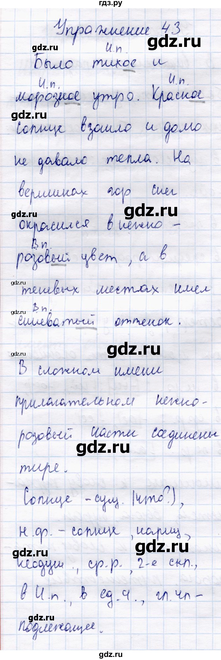 ГДЗ по русскому языку 4 класс  Канакина   часть 2 / упражнение - 43, Решебник №3