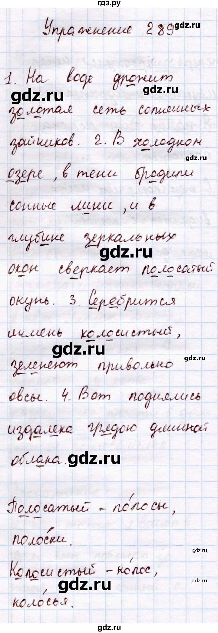 ГДЗ по русскому языку 4 класс  Канакина   часть 2 / упражнение - 289, Решебник 2015 №4