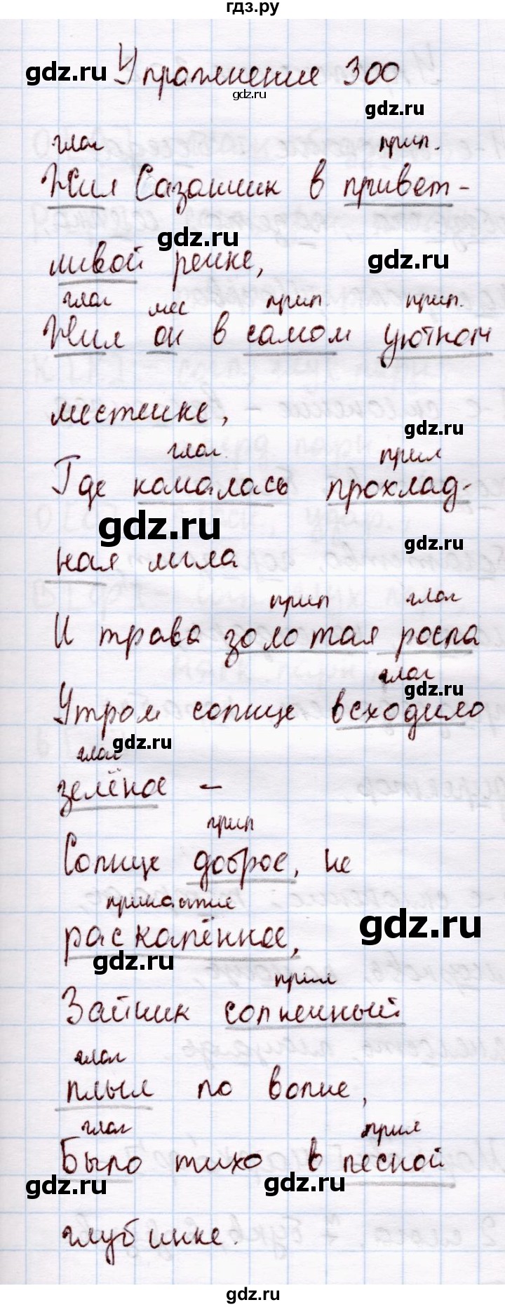 ГДЗ по русскому языку 4 класс  Канакина   часть 2 / упражнение - 300, Решебник 2015 №4