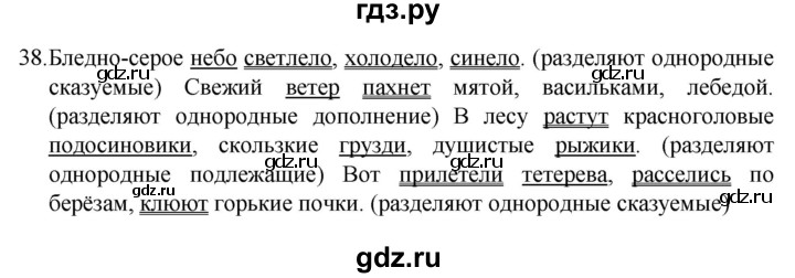 ГДЗ по русскому языку 4 класс  Канакина   часть 1 / упражнение - 38, Решебник к учебнику 2023