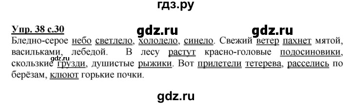ГДЗ по русскому языку 4 класс  Канакина   часть 1 / упражнение - 38, Решебник №1 к учебнику 2014
