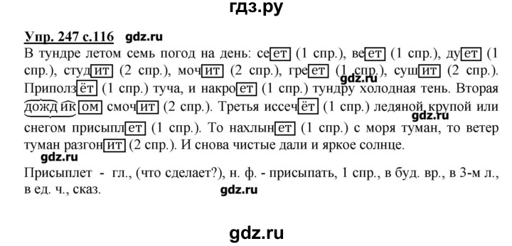 Стр 116 упр 217 4 класс. Гдз русский язык 4 класс Канакина упражнение 247. Гдз русский язык 4 класс упражнение 247. Упражнение 247 по русскому языку 4 класс. Упражнение 247.