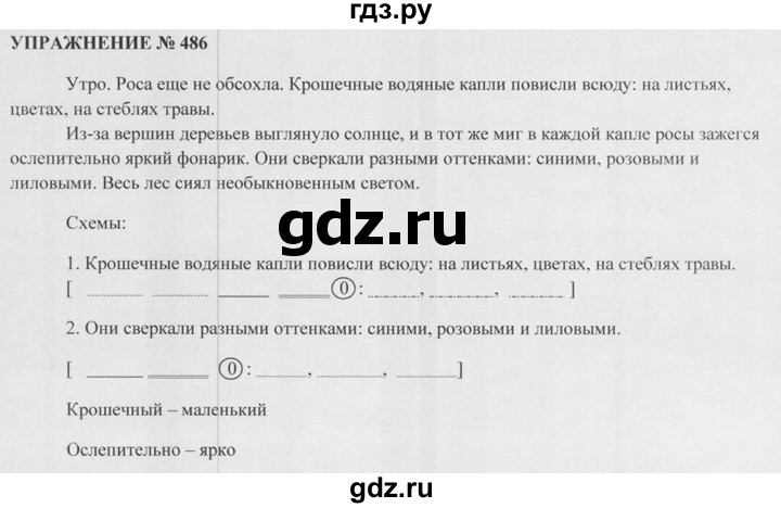 Учебник разумовской 5 класс. Учебник по русскому языку 5 класс упражнение 486. Русский язык 5 класс Разумовская упражнение 242. Русский язык 5 класс Разумовская упражнение 441. Разумовская 5 класс русский язык упражнение 325.