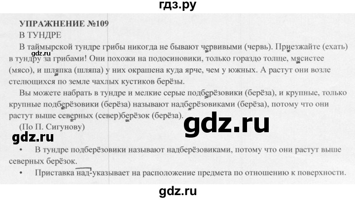 Русский 4 класс страница 109 упражнение 196. Русский язык 5 класс Разумовская.