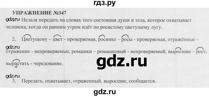 Русский 5 класс 2021 года. Русский язык 5 класс Разумовская.