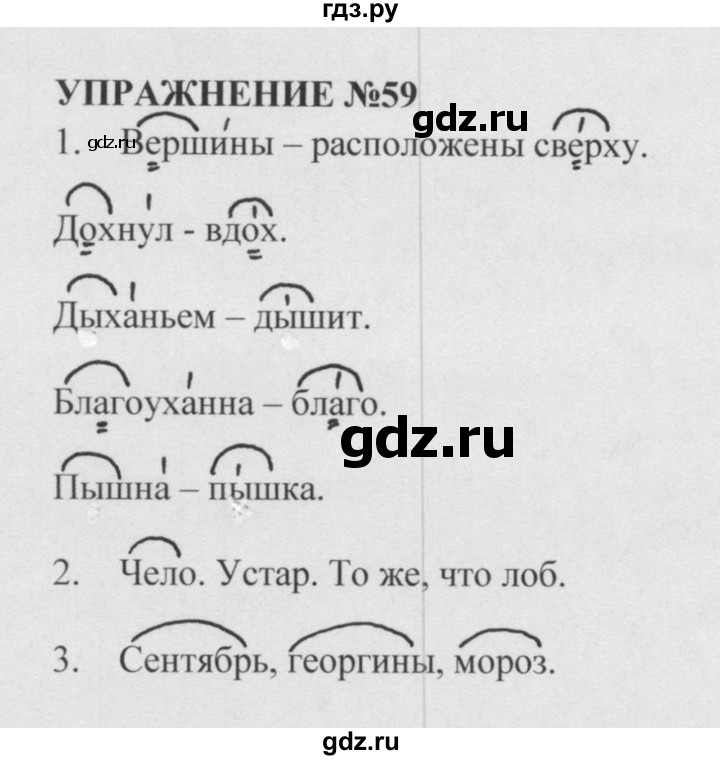 Русс 5 класс упр 582. Упражнение 59 по русскому языку 5 класс. Русский язык 5 класс Разумовская упражнения.