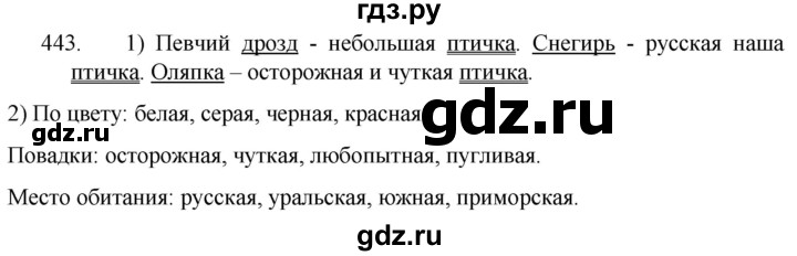 ГДЗ по русскому языку 5 класс  Разумовская   упражнение - 443, Решебник к учебнику 2022