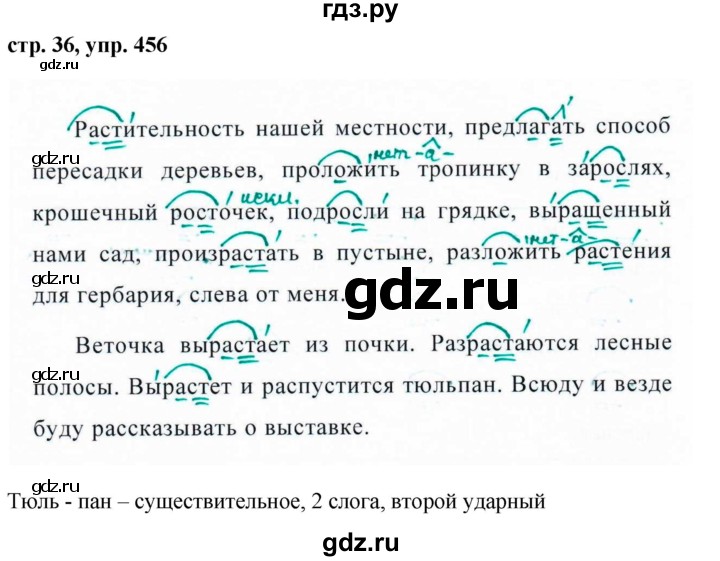 Русский язык пятый класс номер 454. Русский язык упражнение 456. 456 Русский язык 5 класс.