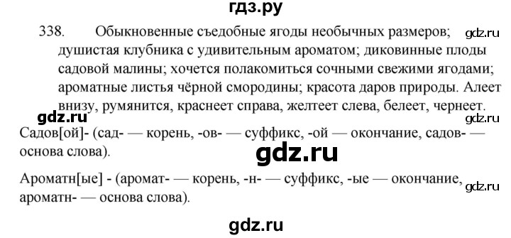 ГДЗ по русскому языку 5 класс  Ладыженская   упражнение - 338, Решебник к учебнику 2021