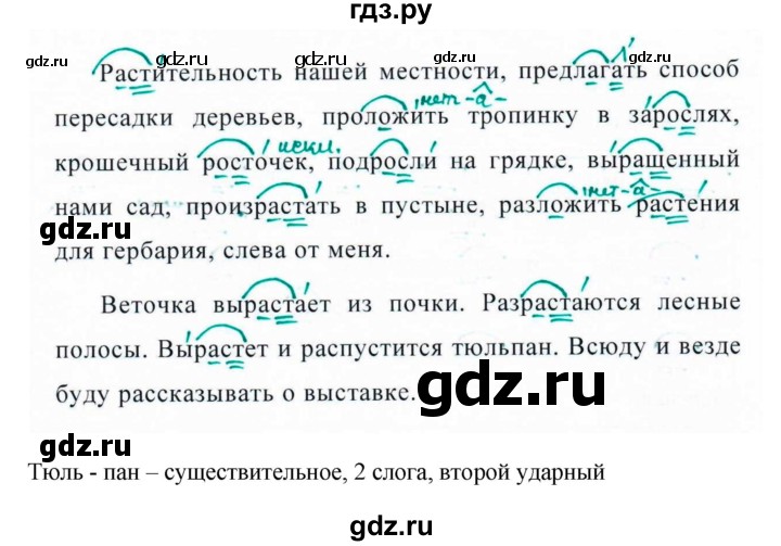 Русский язык 5 класс ладыженская упражнение 493. Домашнее задание по русскому 5 класс упражнение 493. Русский язык 5 класс 2 часть упражнение 493. 493 Упражнение по русскому языку 5 2часть. Русский язык 5 класс 2 часть страница 34 упражнение 493.