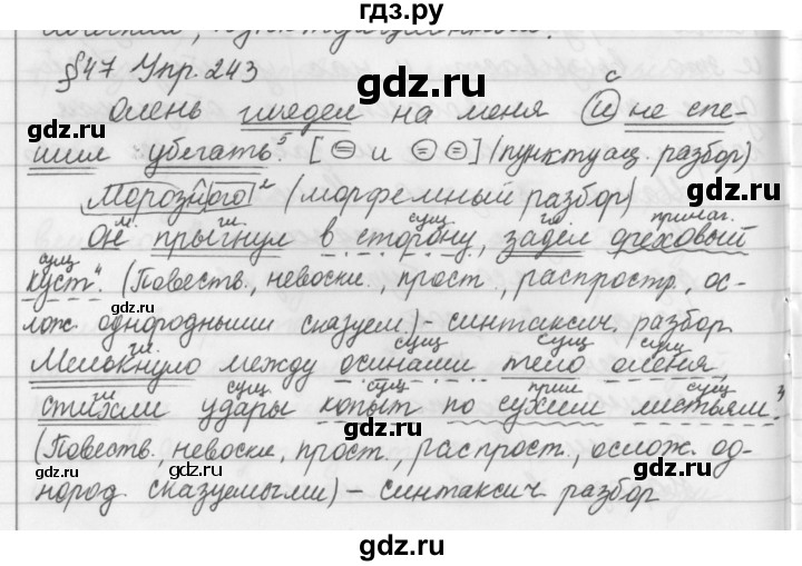 Язык 4 класс упражнение 243. Русский язык 5 класс упражнение 243. Упражнение 243 по русскому языку 3. Упражнение 243 по русскому языку 5 класс 1 часть. Русский язык седьмой класс ладыженская упражнение 243.