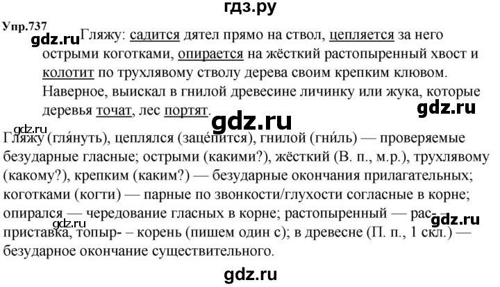 ГДЗ по русскому языку 5 класс  Ладыженская   упражнение - 737, Решебник к учебнику 2023