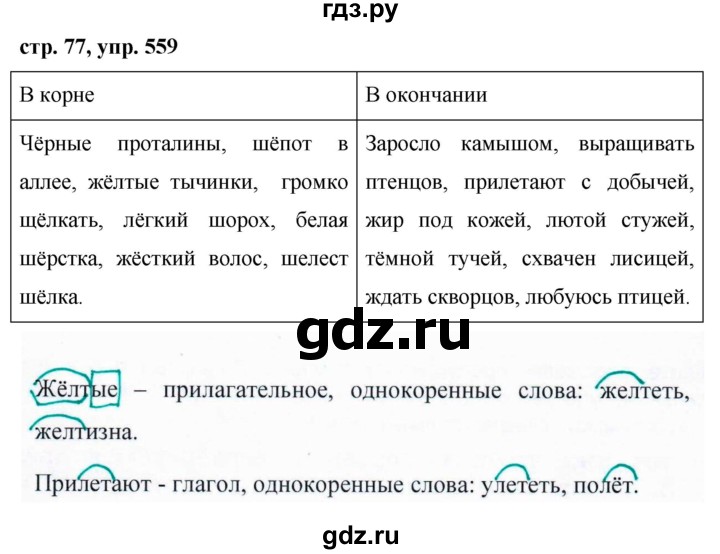 ГДЗ по русскому языку 5 класс  Ладыженская   упражнение - 559, Решебник 2016