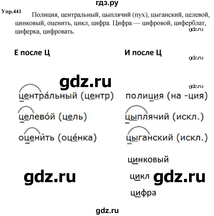 ГДЗ по русскому языку за 5 класс Ладыженская, Баранов, Тростенцова ответ на номер 441, Решебник 2023
