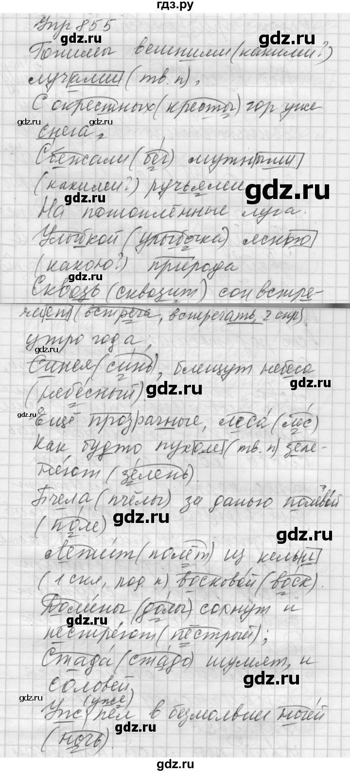 ГДЗ по русскому языку 5 класс  Купалова Учебник, Практика  упражнение - 855, Решебник к учебнику 2022