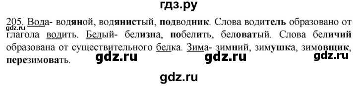 ГДЗ по русскому языку 6 класс  Ладыженская   упражнение - 205, Решебник к учебнику 2022