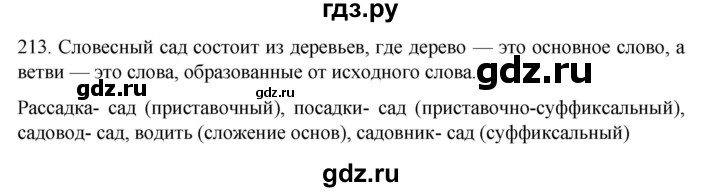 ГДЗ по русскому языку 6 класс  Ладыженская   упражнение - 213, Решебник к учебнику 2022