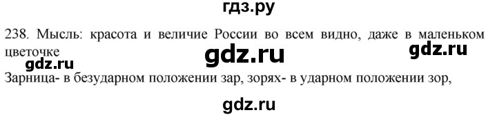 ГДЗ по русскому языку 6 класс  Ладыженская   упражнение - 238, Решебник к учебнику 2022