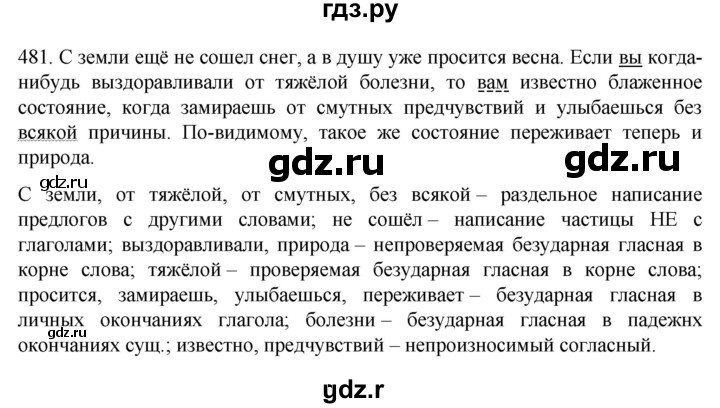 Русский язык шестой класс упражнение 481. Гдз по русскому языку 6 класс 481. Русский язык 6 класс ладыженская упражнение 481. Русский язык 6 класс 2 часть упражнение 481. Упражнение 481.