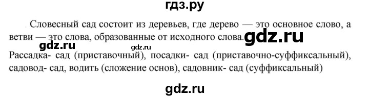 Русский язык 6 класс упражнение 298. Русский язык 6 класс упражнение 213.