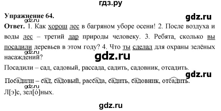 Гдз по русскому языку за 6 класс Баранов, Ладыженская ответ на номер 64, Решебник 2025