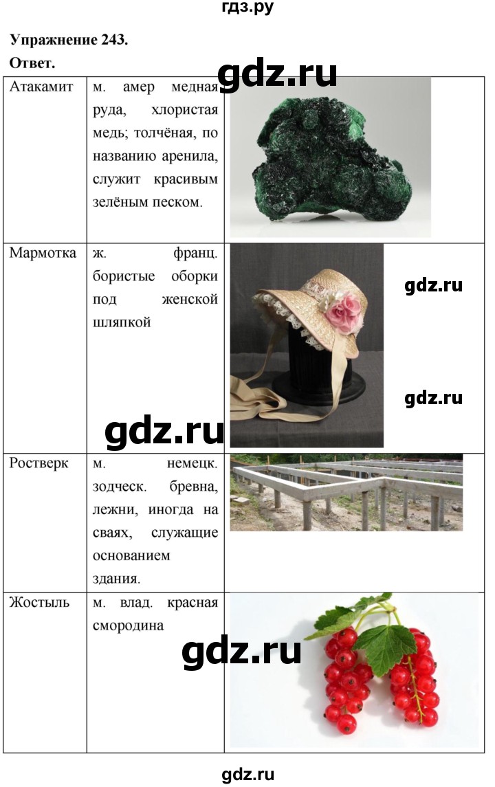 Гдз по русскому языку за 6 класс Баранов, Ладыженская ответ на номер 243, Решебник 2026