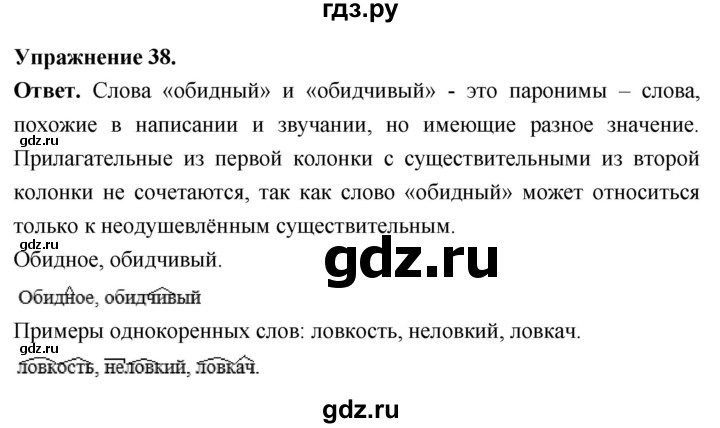 Гдз по русскому языку за 6 класс Баранов, Ладыженская ответ на номер 38, Решебник 2026