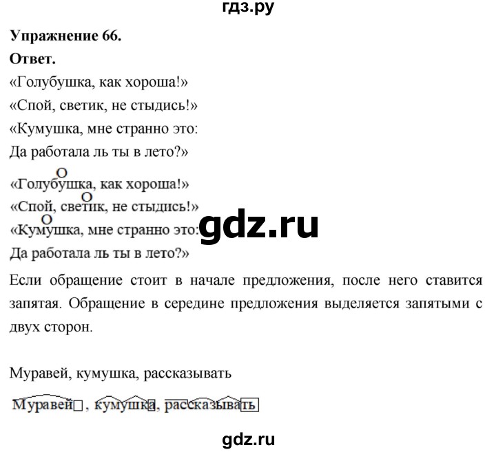 Гдз по русскому языку за 6 класс Баранов, Ладыженская ответ на номер 66, Решебник 2026