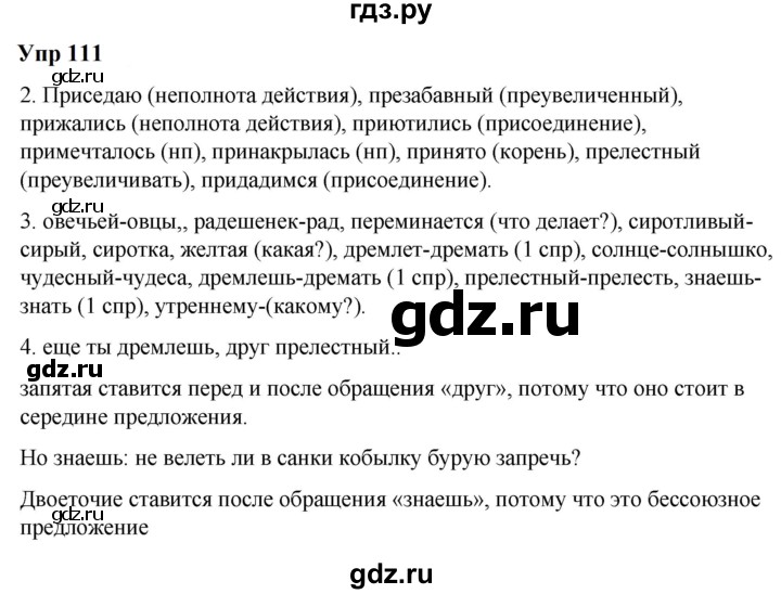 ГДЗ по русскому языку 6 класс  Разумовская   упражнение - 111, Решебник к учебнику 2023