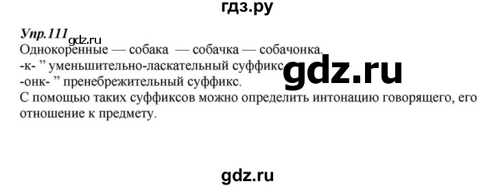 ГДЗ по русскому языку 6 класс  Разумовская   упражнение - 111, Решебник к учебнику 2015