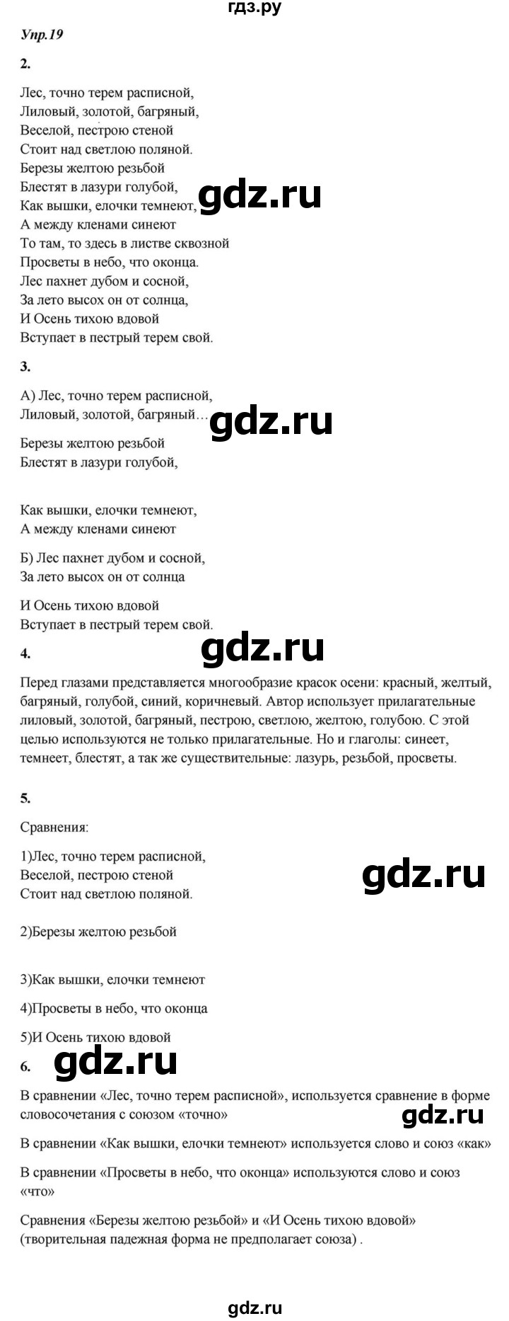 ГДЗ по русскому языку 6 класс  Разумовская   упражнение - 19, Решебник к учебнику 2015
