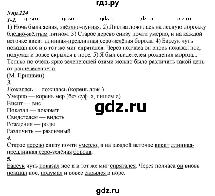 ГДЗ по русскому языку 6 класс  Разумовская   упражнение - 224, Решебник к учебнику 2015
