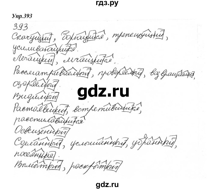 ГДЗ по русскому языку 6 класс  Разумовская   упражнение - 393, Решебник к учебнику 2015