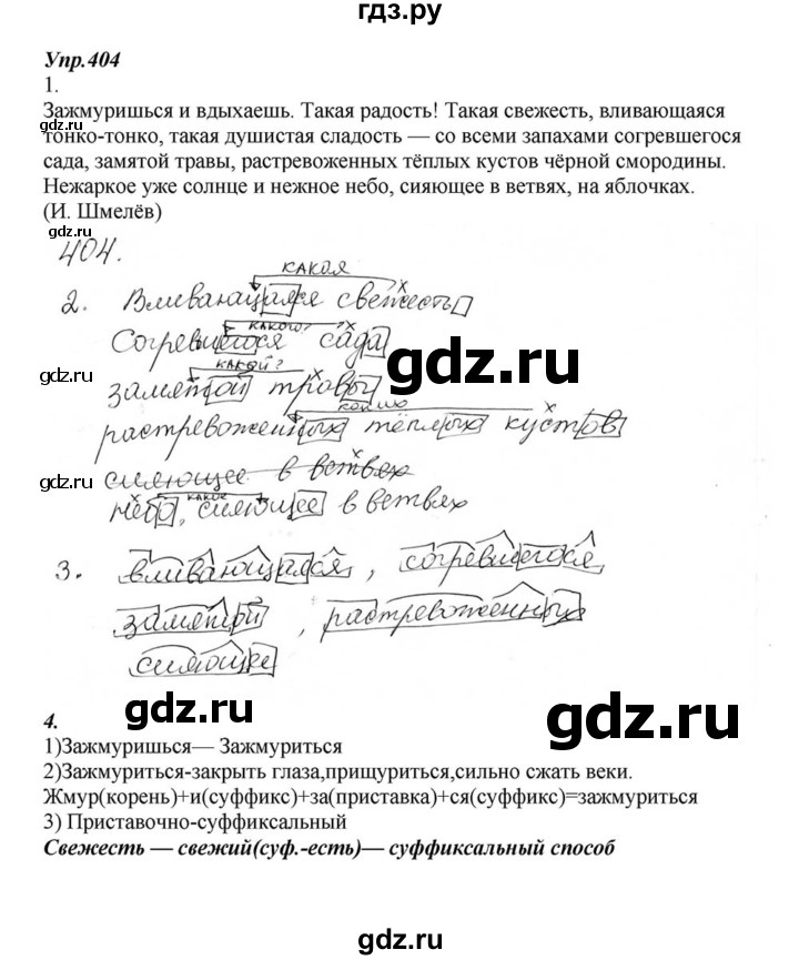 ГДЗ по русскому языку 6 класс  Разумовская   упражнение - 404, Решебник к учебнику 2015