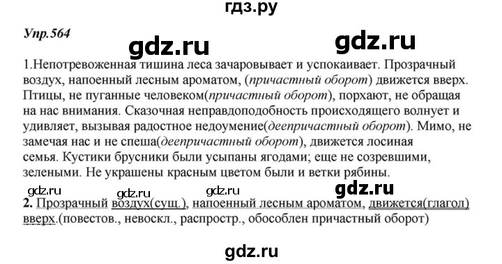 ГДЗ по русскому языку 6 класс  Разумовская   упражнение - 564, Решебник к учебнику 2015