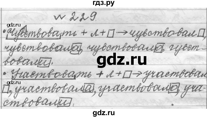 ГДЗ по русскому языку 6 класс  Лидман-Орлова Практика  упражнение - 229, Решебник к учебнику 2016