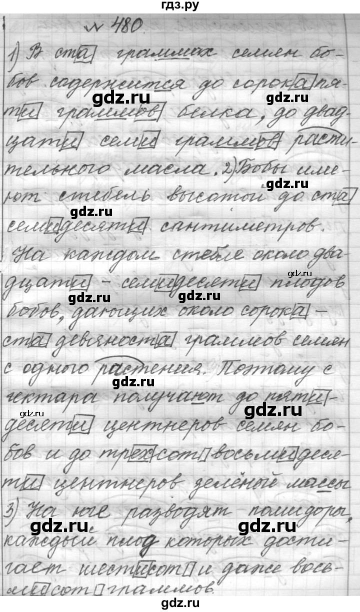 ГДЗ по русскому языку 6 класс  Лидман-Орлова Практика  упражнение - 480, Решебник к учебнику 2016