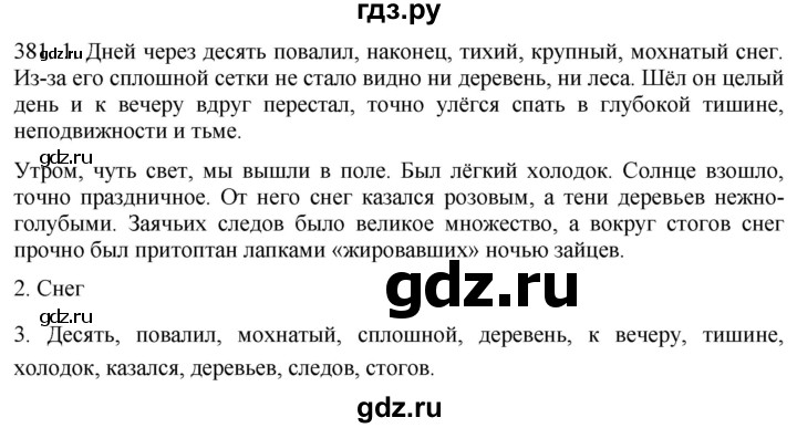 ГДЗ по русскому языку 6 класс  Лидман-Орлова Практика  упражнение - 381, Решебник к учебнику 2021