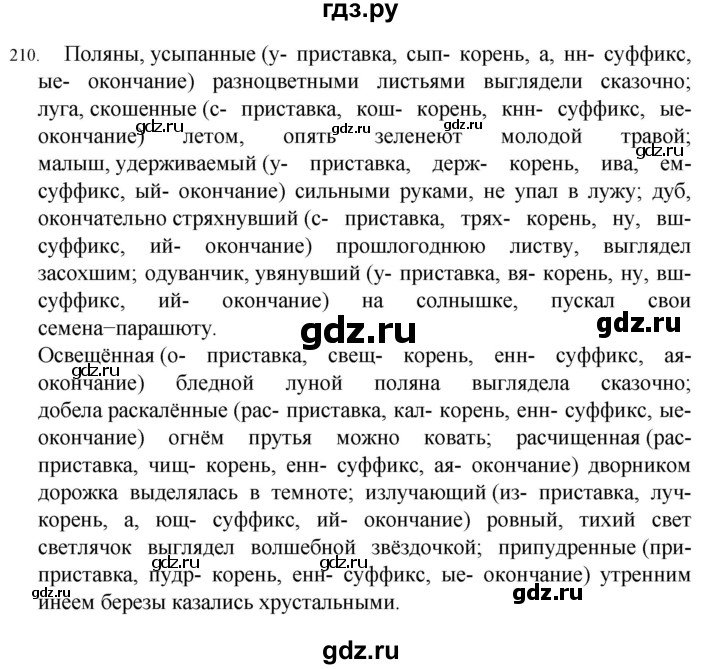 ГДЗ по русскому языку 7 класс  Разумовская   упражнениt - 210, Решебник №1 к учебнику 2022