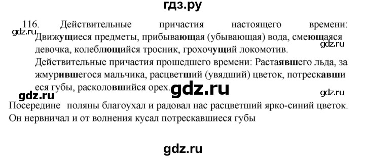 ГДЗ по русскому языку 7 класс  Баранов   упражнение - 116, Решебник к учебнику 2022