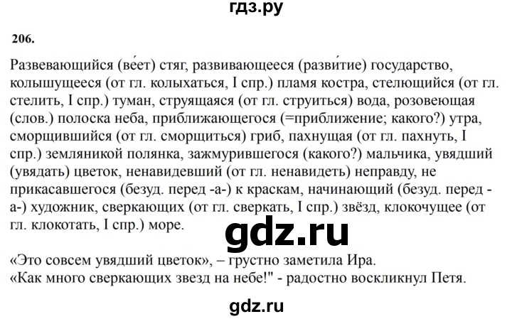 ГДЗ по русскому языку за 7 класс Баранов, Ладыженская, Тростенцова ответ на номер 206, Решебник 2023-2024