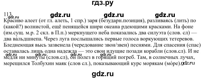 ГДЗ по русскому языку за 7 класс Баранов, Ладыженская, Тростенцова ответ на номер 113, Решебник 2022 №1